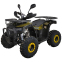 Квадроцикл SP125-12 (новинка) 2