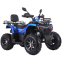 Квадроцикл SP200-10Е 0
