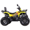 Квадроцикл SP200-10Е 1