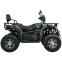 Квадроцикл SP200-11Е (Довга база) 2