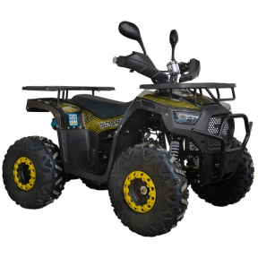 Квадроцикл SP125-12 (новинка)