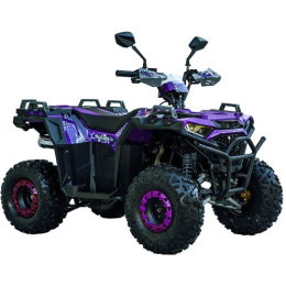 Квадроцикл SP125-11