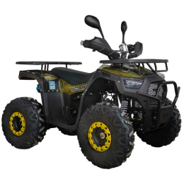 Квадроцикл SP125-12 (новинка)