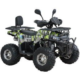 Квадроцикл SP125-13