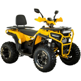 Квадроцикл SP200-5E